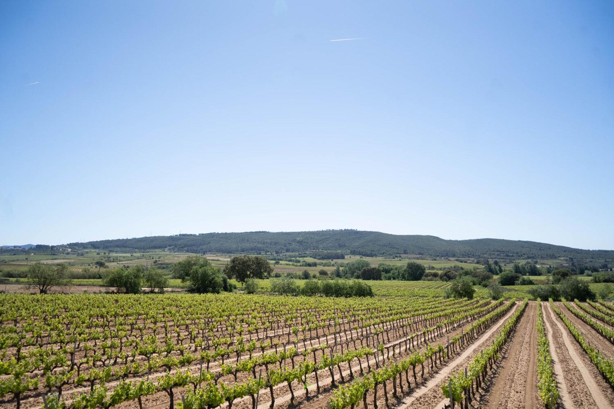Vila Cal Llop Sant Cugat de Sesgarrigues Exteriér fotografie